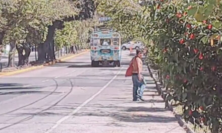 Hombre con supuestos problemas mentales tira piedras a los vehículos en la zona 9 (Video)