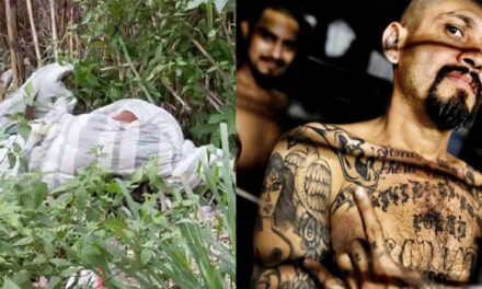 MACABRO HALLAZGO: Localizan el cuerpo sin vida envuelto en sábanas (Video)