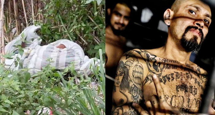 MACABRO HALLAZGO: Localizan el cuerpo sin vida envuelto en sábanas (Video)
