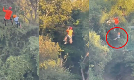 Momento en que niño de 6 años se desploma cuando hacía canopy (Video)