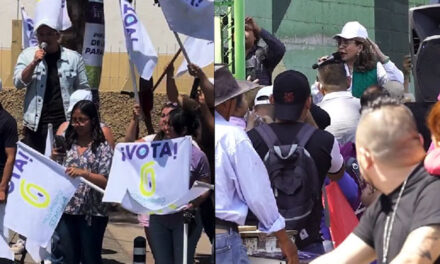 Diputado trata de ladrona a Sandra Torres cuando hace propaganda en la calle (Video)