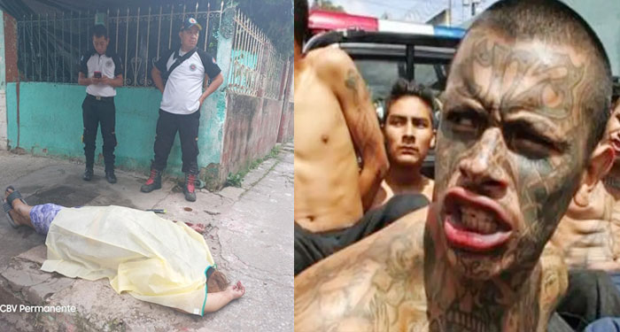 URGENTE: Sicarios asesinaron a balazos a una mujer que se negó a entregar sus pertenencias