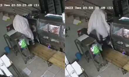 Ladrón se disfraza de fantasma para poder ingresar a robar en una carnicería (Video)