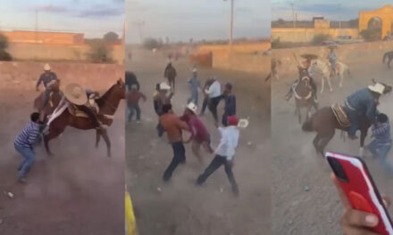 Jaripeo termina en fuertes golpes entre los participantes (Video)