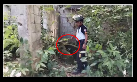 URGENTE: Cadáver es localizado en el interior de un pozo (Video)