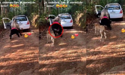 Mujer hace sus necesidades en la carretera sin saber lo que le pasaría y se vuelve viral (Video)