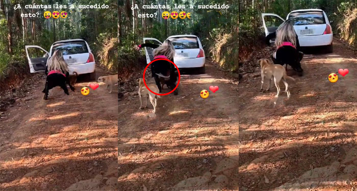Mujer hace sus necesidades en la carretera sin saber lo que le pasaría y se vuelve viral (Video)