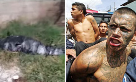 Sicarios abandonan cadáver empaquetado entre bolsas plástica en Villa Nueva (Video)
