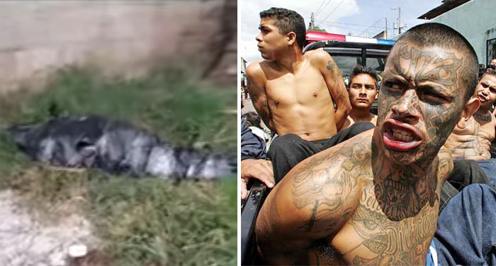 Sicarios abandonan cadáver empaquetado entre bolsas plástica en Villa Nueva (Video)