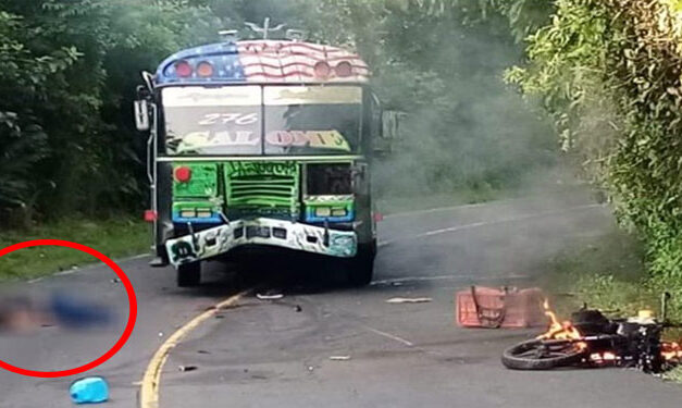 Motorista en supuesto estado de ebriedad muere al impactar con un bus