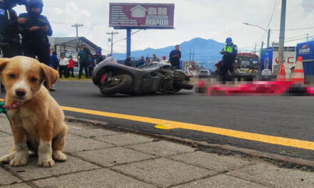 Identifican a mujer que fue arrollada cuando iba con su perrito en Quetzaltenango