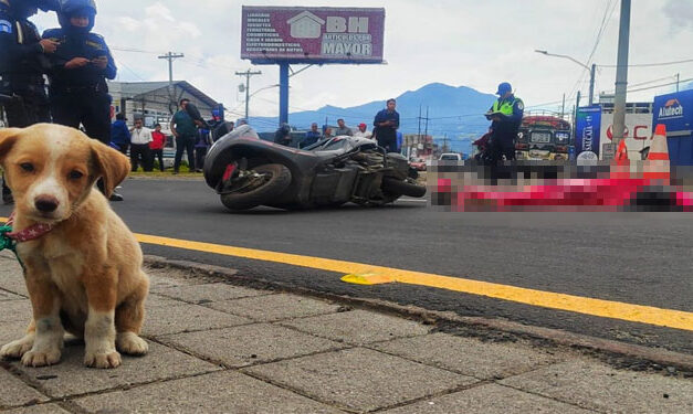 Identifican a mujer que fue arrollada cuando iba con su perrito en Quetzaltenango