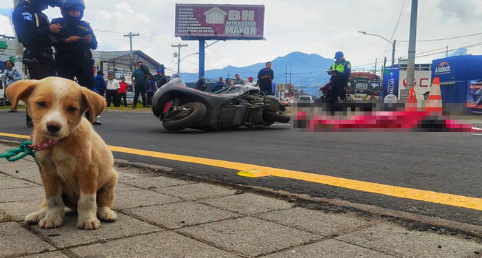 Identifican a mujer que fue arrollada cuando iba con su perrito en Quetzaltenango