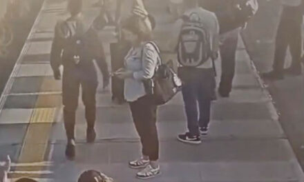 «Horror en las Vías”: Mujer que esperaba el tren se desmaya y termina arrollada en Israel (VIDEO)