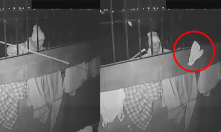 Momento en que hombre se roba los calzones de su vecina en horas de la madrugada (Video)
