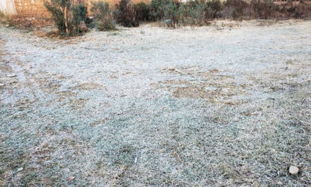 Insivumeh confirmó que las bajas temperaturas pueden durar hasta el domingo