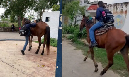 La historia detrás de la joven que pido un caballo de regalo para sus XV en vez de fiesta (Video)