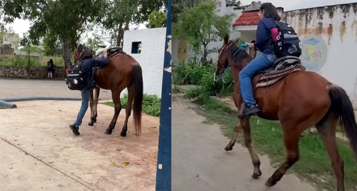 La historia detrás de la joven que pido un caballo de regalo para sus XV en vez de fiesta (Video)