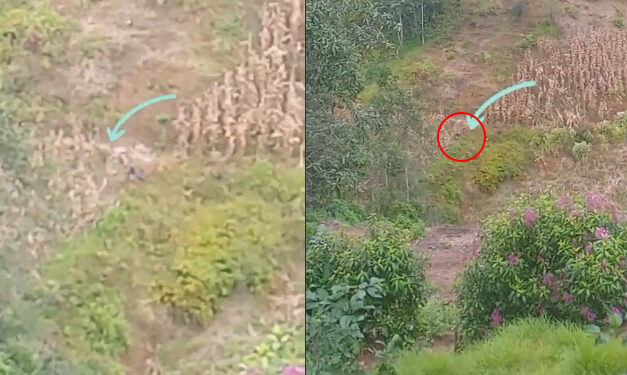 Dron capta a pareja manteniendo relaciones en la vía pública (Video)