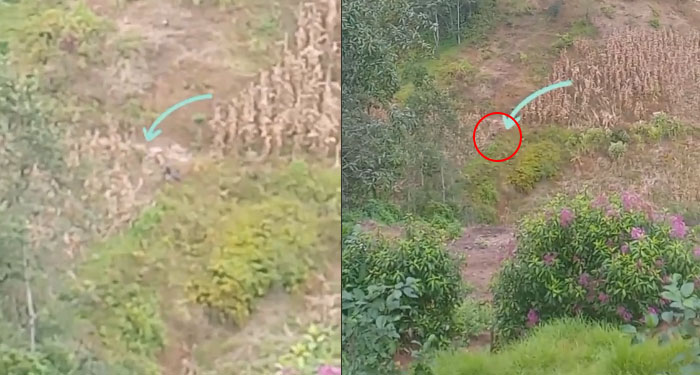 Dron capta a pareja manteniendo relaciones en la vía pública (Video)