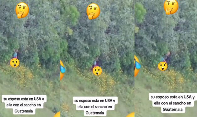 Fotógrafo graba a pareja teniendo intimidad en el monte (Video)
